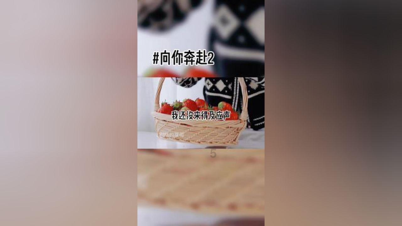 救援受困的萌兔