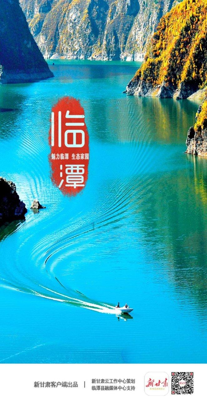寻找萌小老虎
